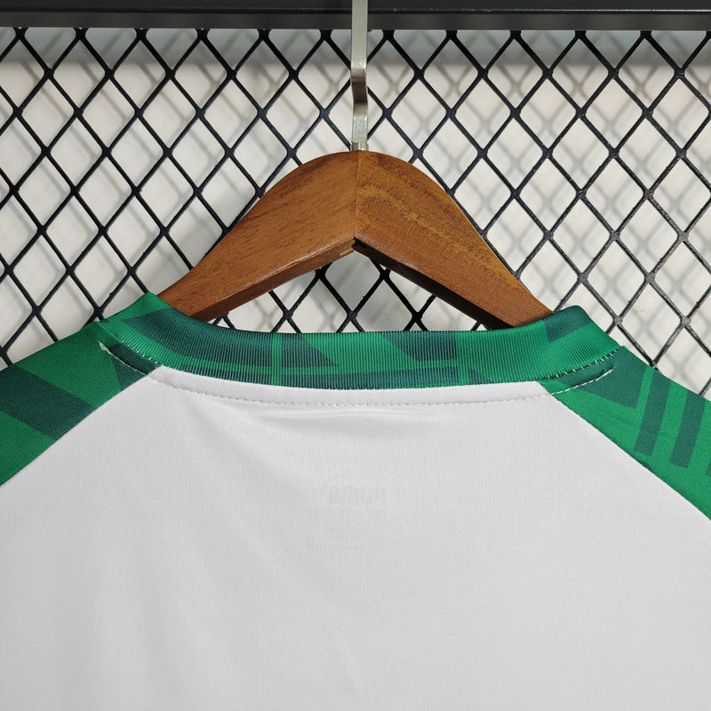 Camisa Palmeiras Treino II 23/24 - Puma Torcedor Masculina (Importação)