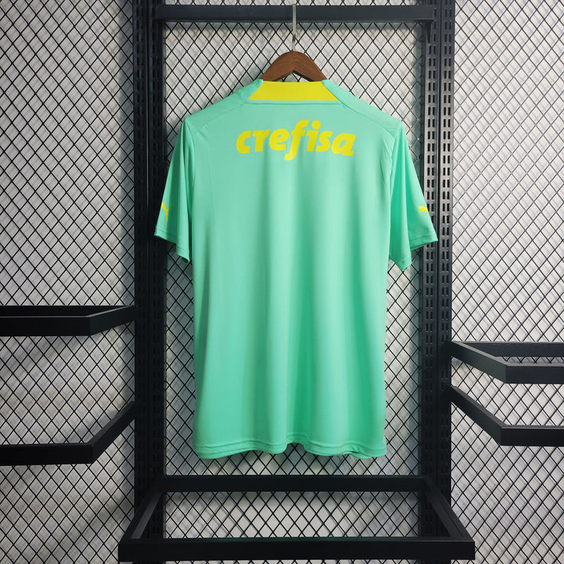 Camisa Palmeiras 23/24 - Puma Torcedor Masculina (Importação)